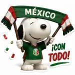 Pegatinas del Mundial