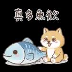 柴犬可愛諧音梗