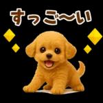 毎日使える【挨拶★返事】トイプードル