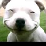 Este usuario está enfermo