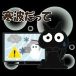 黒ねこの秋・冬便り