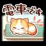 毎日♡猫ちゃんず【連絡・今何してる？】