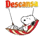 Te amo