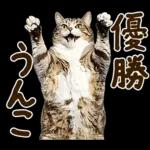 うんこ★リアルな猫