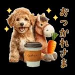 午年2026年！プードルとうまの年末年始