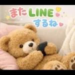 飛び出す♡くまさん