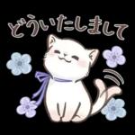 毎日使える♡大人可愛いガーリーキャット2
