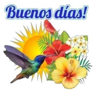 Buenos días! - getsticker.com