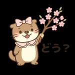 一歩ずつ進んでいきます