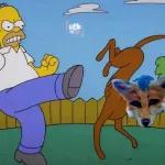 buenas tardes Mercado Libre