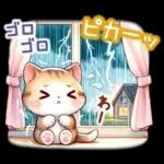 猫のつめあわせ【夏】