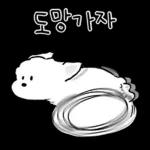 또리는 소심하지만 참지않지