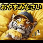 大阪神戸の野球好き虎ファン向け5とらほー