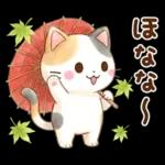 ほんわか水彩♪京都の三毛猫さん