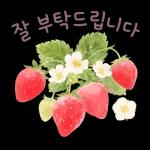괜찮아 천천히 해도 다 잘 될 거에요