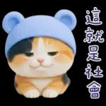 可愛小花貓超能幹的啦❤