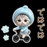 かわいい猫 ぷっくり カラフル 敬語