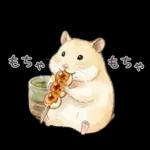 ゴールデンハムスター♡キンクマ