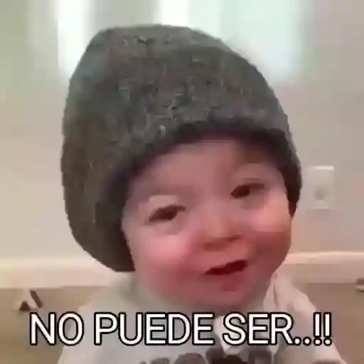 Neta?