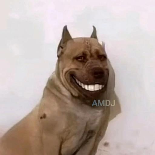 😞🙂‍↔️🙉