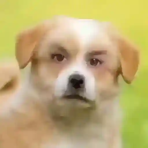 ¡Te amo un montón!