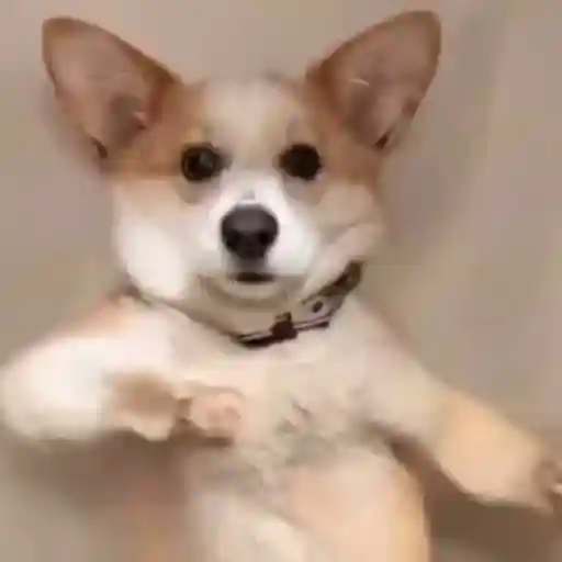 Saludos a los trabajadores, lunes duro