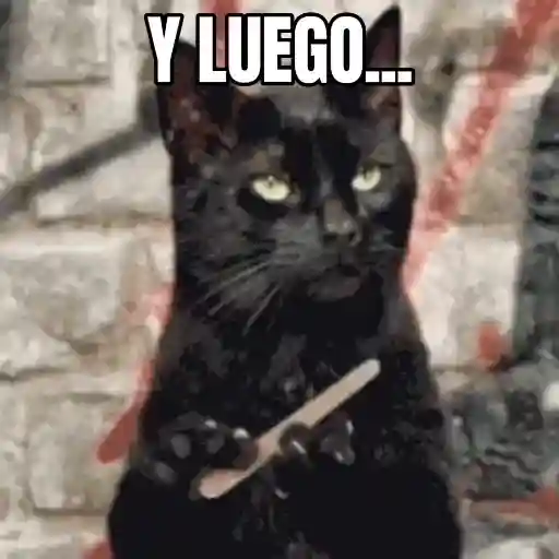 pa la queso ye