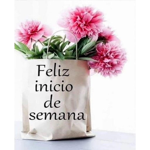 Feliz inicio de semana