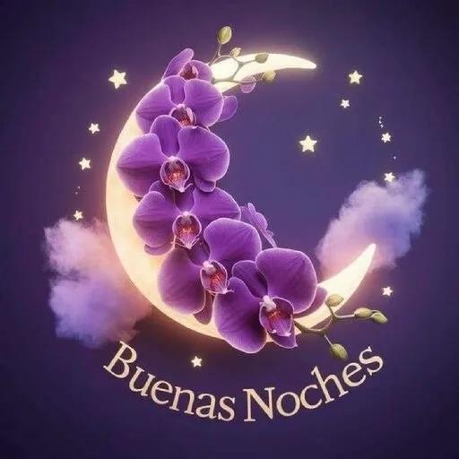 BUENAS NOCHES