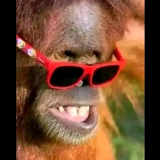 Buen Día!! Arriba... Feliz Sábado!!
