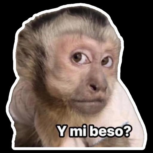 oye estas hay