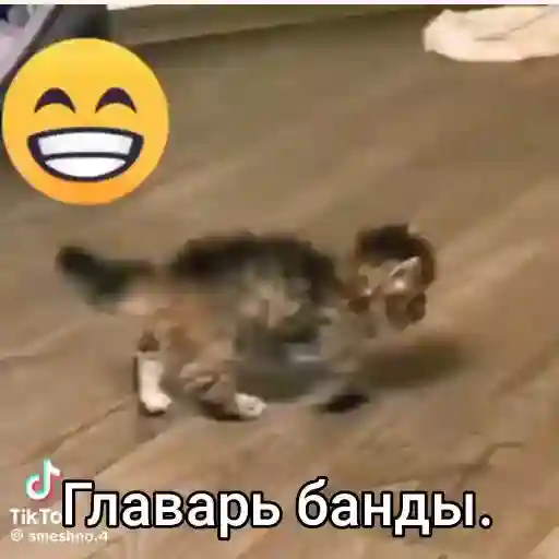 стикеры 