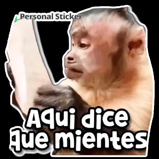 nuevos