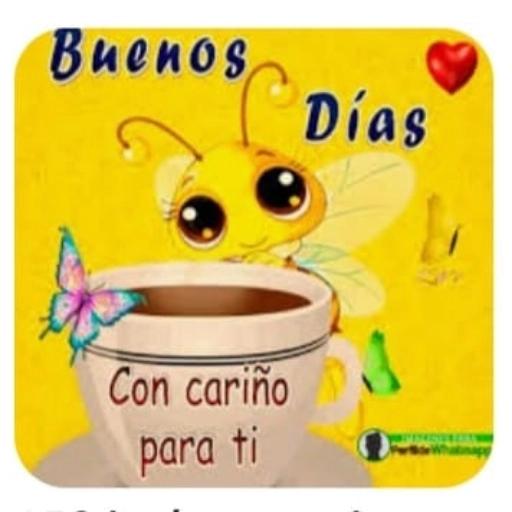 Buenos Días Con cariño para ti