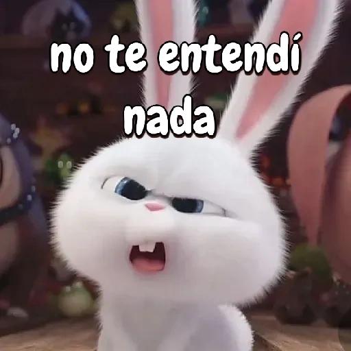 Que haces?