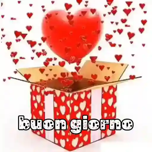 buon giorno