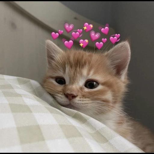 Ay Babosa me asustas Burra