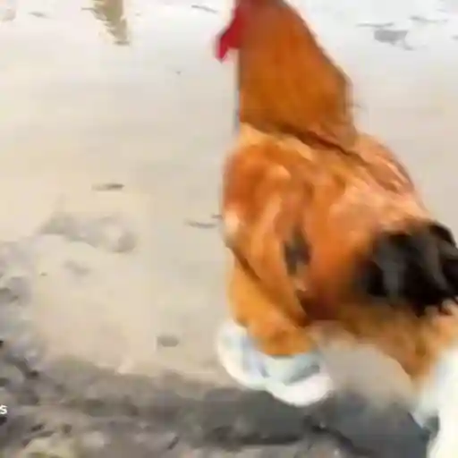 Que tengas una buena mañana.