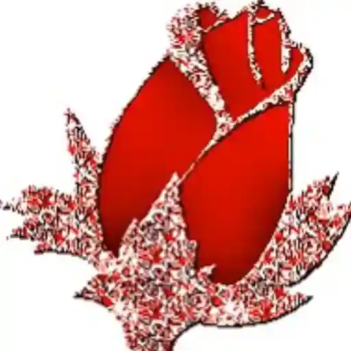 bye bye 👋🏼👋🏼👋🏼