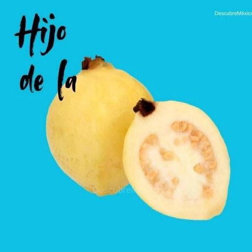 toy chido