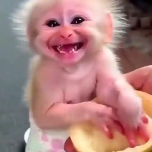 мои стикеры