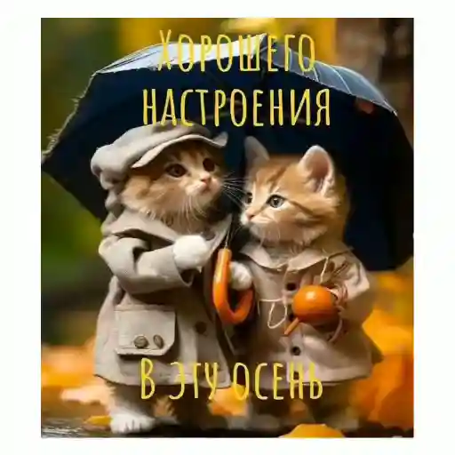 хэй