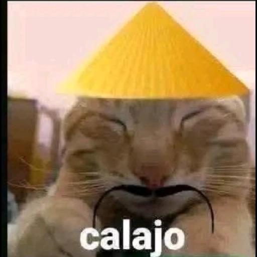 problema tuyo papi