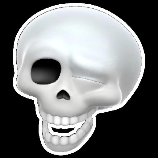 𝐳𝐜𝐬