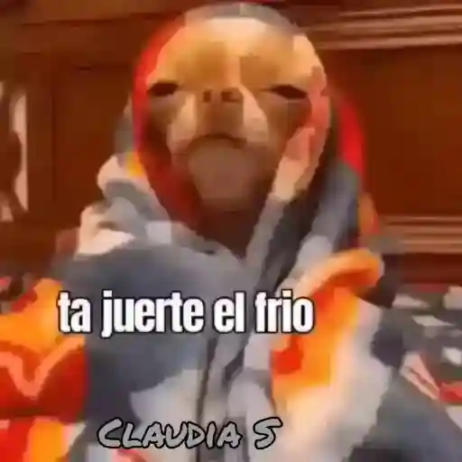 ytfji