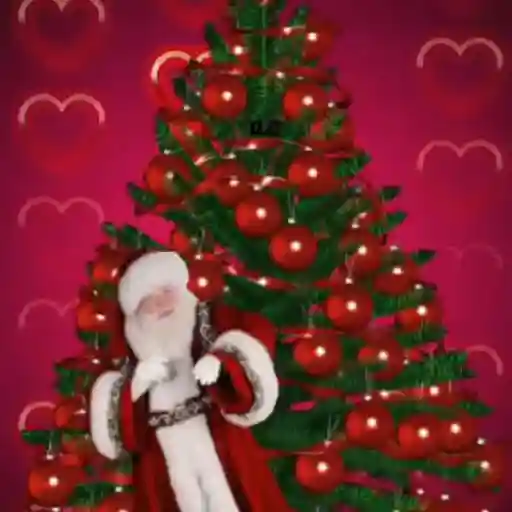 Felices Fiestas Navideñas