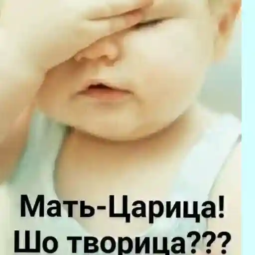 Мать-Царица! Шо творится???