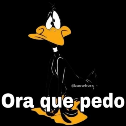 Ora que pedo