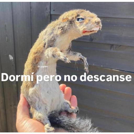Dormí pero no descanse