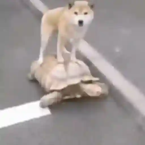 生气了？
